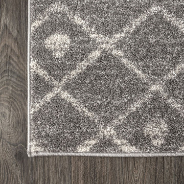 Aksil Moroccan Beni Souk Area Rug
